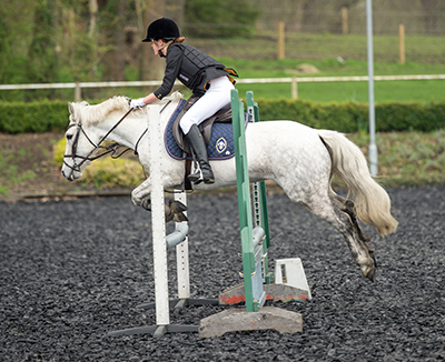 Calia qualifies for the Dengie Show Jumping Series